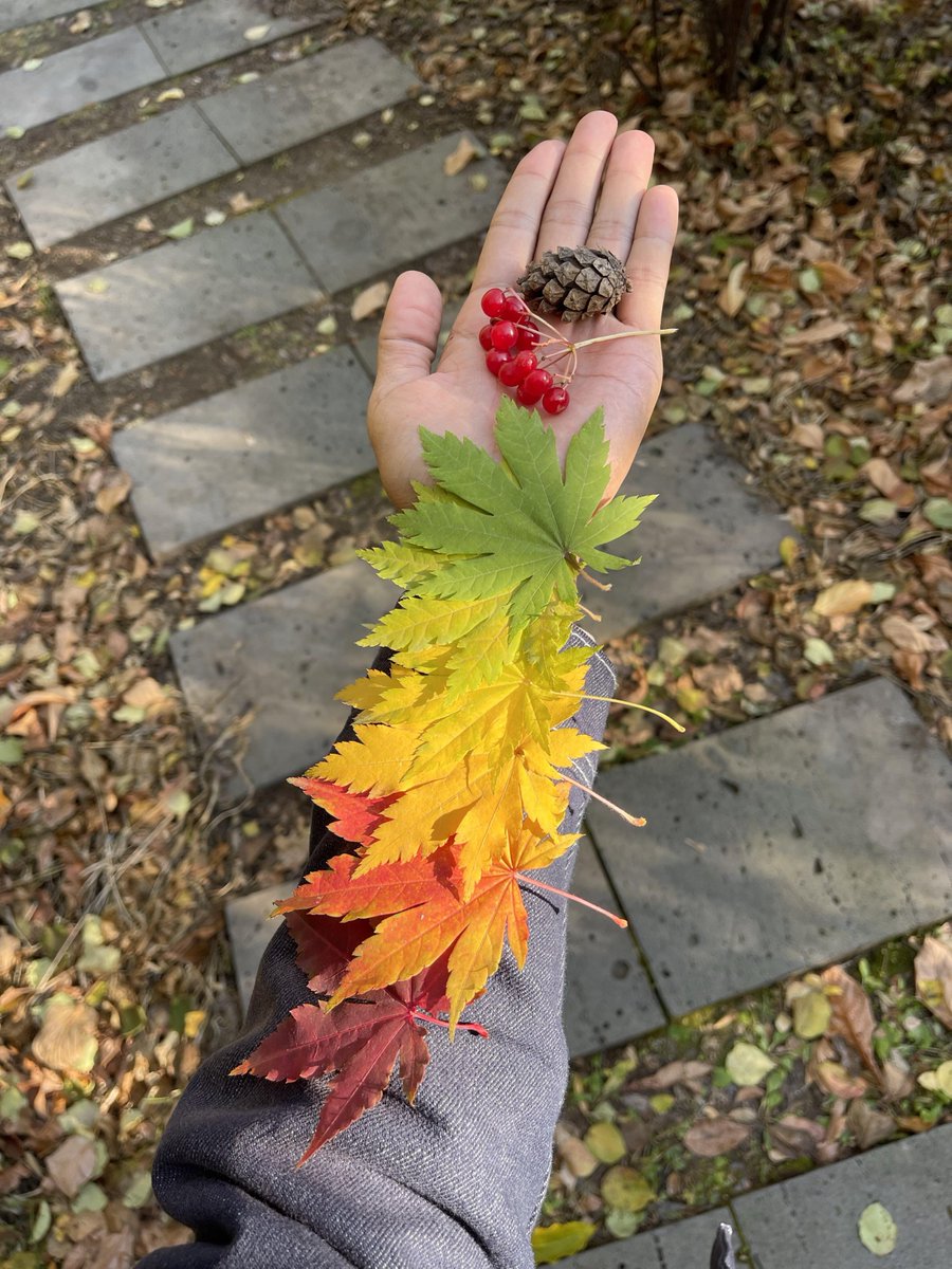 chessas1's tweet photo. 毎年秋になると、人々はいつも過去を懐かしみ、未来を楽しみにします。秋は希望と夢に満ちた季節です。 https://t.co/IotcDB0HJG