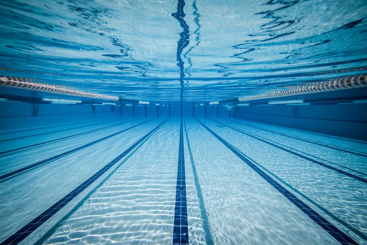 NDHSAA's tweet photo. 2024 NDHSAA Girls Swimming &amp; Diving State Meet Qualifiers &amp; Season Performance List (Meets through 10-23-24) | https://t.co/YXVBQZgCZ4

#NDHSAA #NDpreps https://t.co/EHksi3ATbc