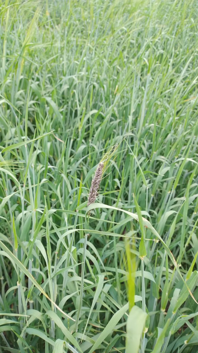 Marcos Yanniccari (@maryanniccari) on Twitter photo 