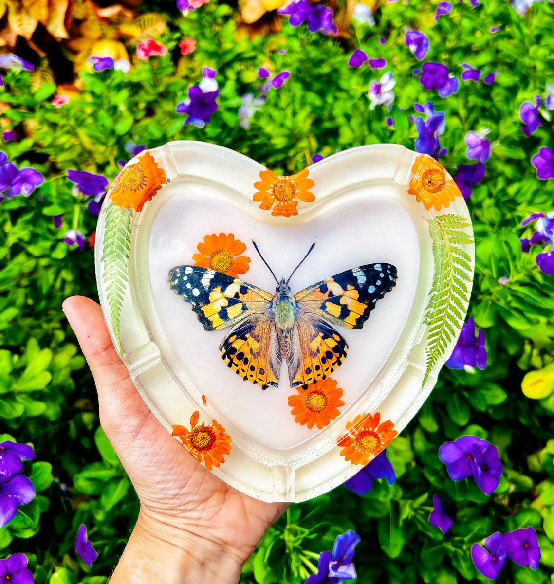 Heatherskiesss 🦋💗 tweet media