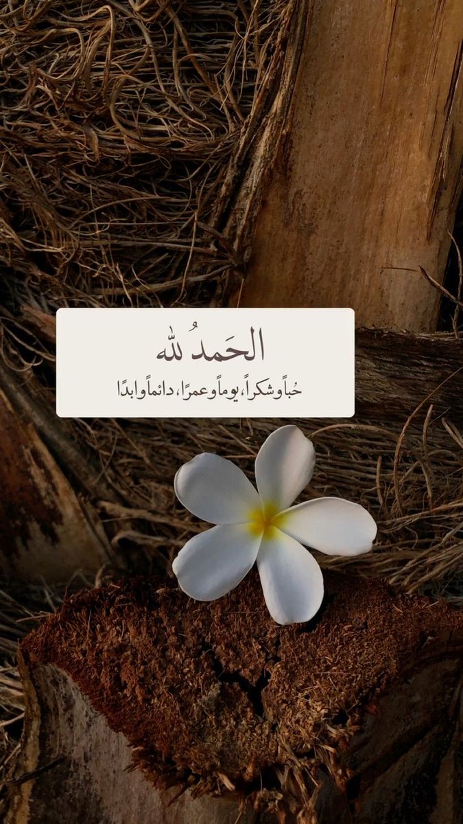 motm2na_'s tweet photo. الحمد لله🤍.. https://t.co/TrH0FK60jw