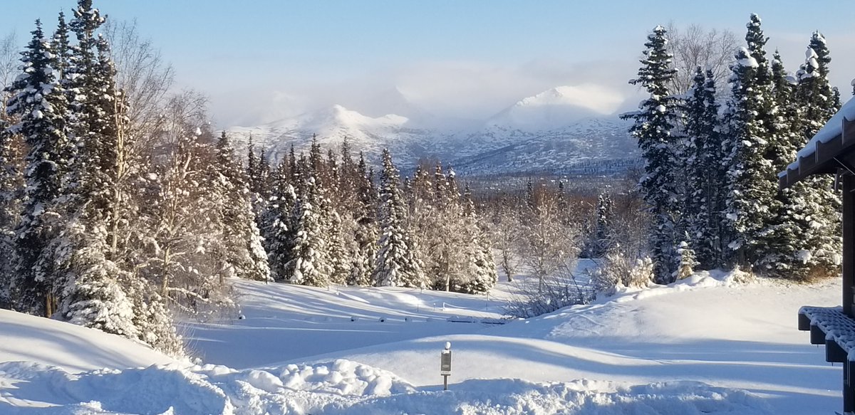 David Phipps tweet media