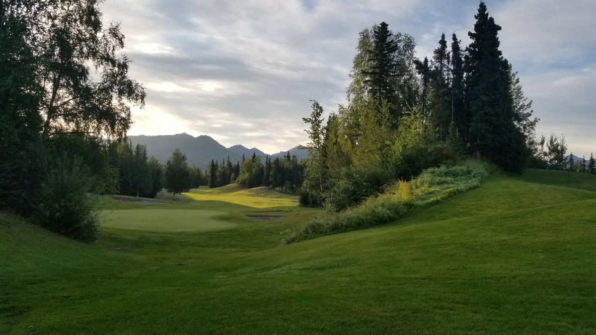 David Phipps tweet media