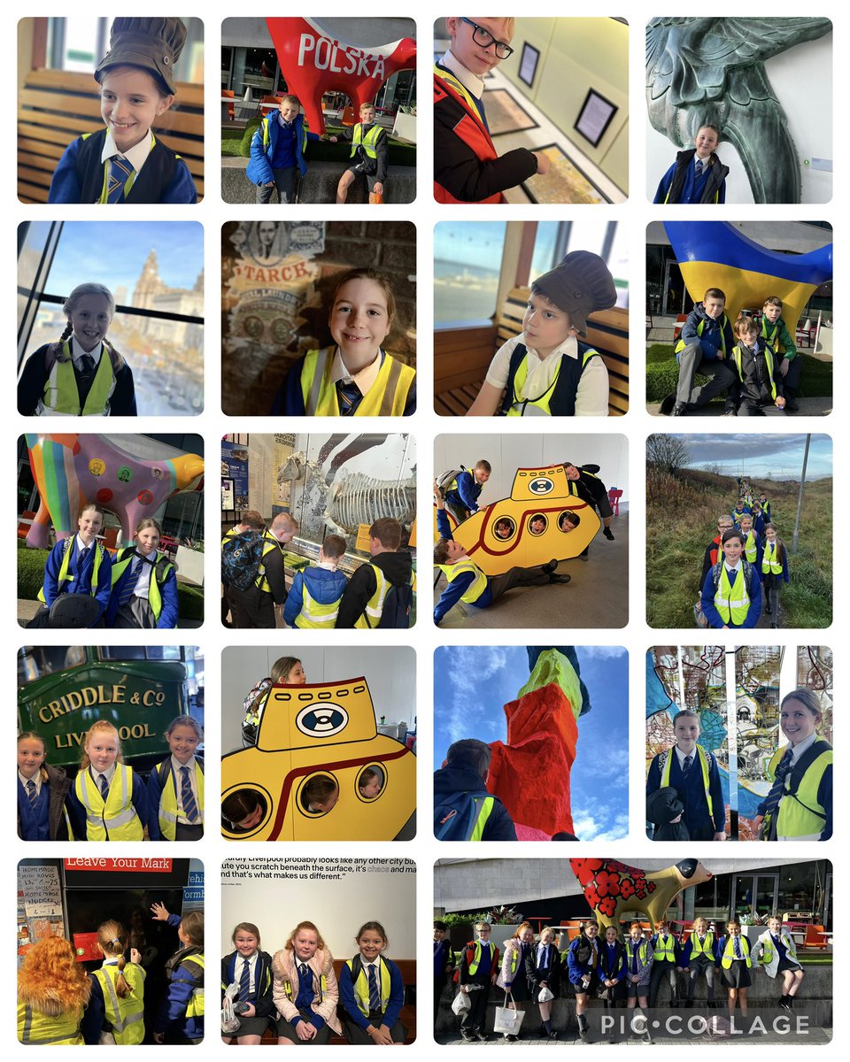 Shoreside Year 6 tweet media