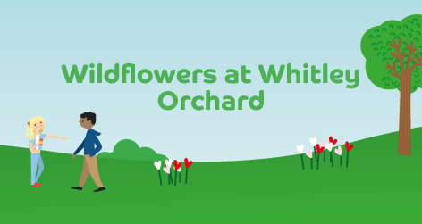 BTS Reading South & East (@btsreadingse) on Twitter photo Join the planting day on 26/10 at Whitley Orchard, RG2 8UG! This green initiative will include planting wildflowers among the trees with the Urban Planting Scheme 🌼
There will be a Bonus Beat Box with double points on-site!
See more: beatthestreet.me/readingse/even…
<a href="/ReadingCouncil/">Reading Borough Council</a> Join the planting day on 26/10 at Whitley Orchard, RG2 8UG! This green initiative will include planting wildflowers among the trees with the Urban Planting Scheme 🌼
There will be a Bonus Beat Box with double points on-site!
See more: beatthestreet.me/readingse/even…
<a href="/ReadingCouncil/">Reading Borough Council</a>