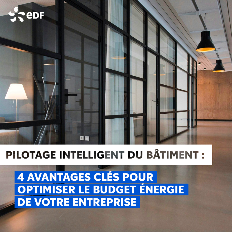 EDF_Entreprises's tweet photo. Professionnels, allier performance énergétique et confort pour vos collaborateurs &amp; clients, c’est possible !

4 bonnes raisons de choisir le Pilotage intelligent du bâtiment pour des locaux plus économes en énergie 🌱

#DLDNov