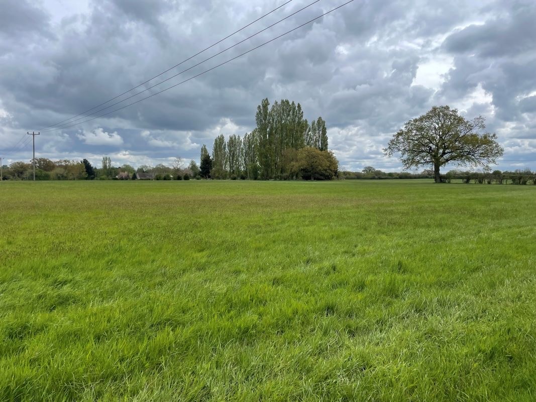 Demand for small land plots saw two sell for high prices at our Norwich online auction. A 9.8-acre agricultural plot, guided at £70,000-£90,000 sold for £256,000.  A 1.5 acre piece of grazing land, guided at £15,000-£20,000 sold for £115,000. Read more: bit.ly/3Yc6hMa