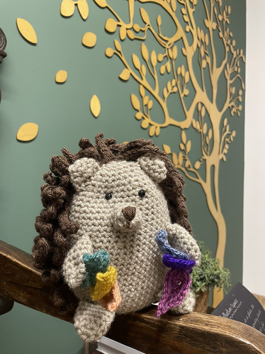 A massive thank you for this lovely hedgehog crochet gift. We love his Woodhead leaves 🥰 and welcome him to our school family #thankfullness