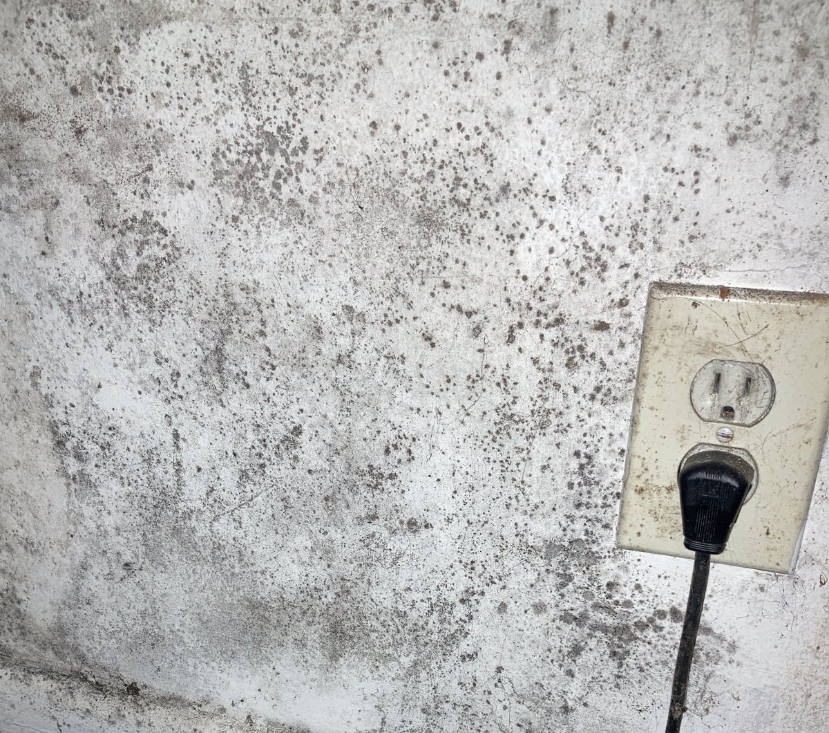 This is a crisis in Los Angeles too. So many families who join the union have kids with asthma. Their landlords have refused to remove mold that tenants have complained about for years. 

This is from this month - now that there's a TA, the landlord is finally doing remediation.