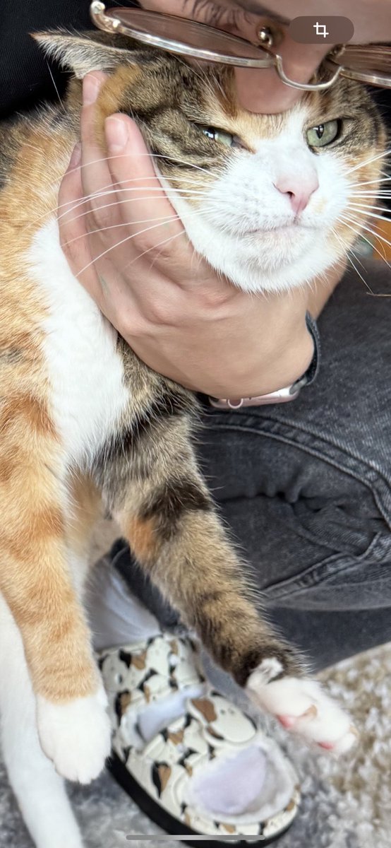 les bloopers de la photo