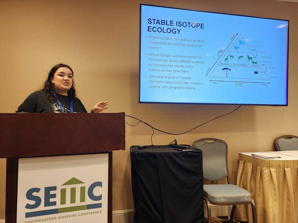 I had a great time presenting about the LSUMNS and my research at the Southeastern Museum Conference 2024!