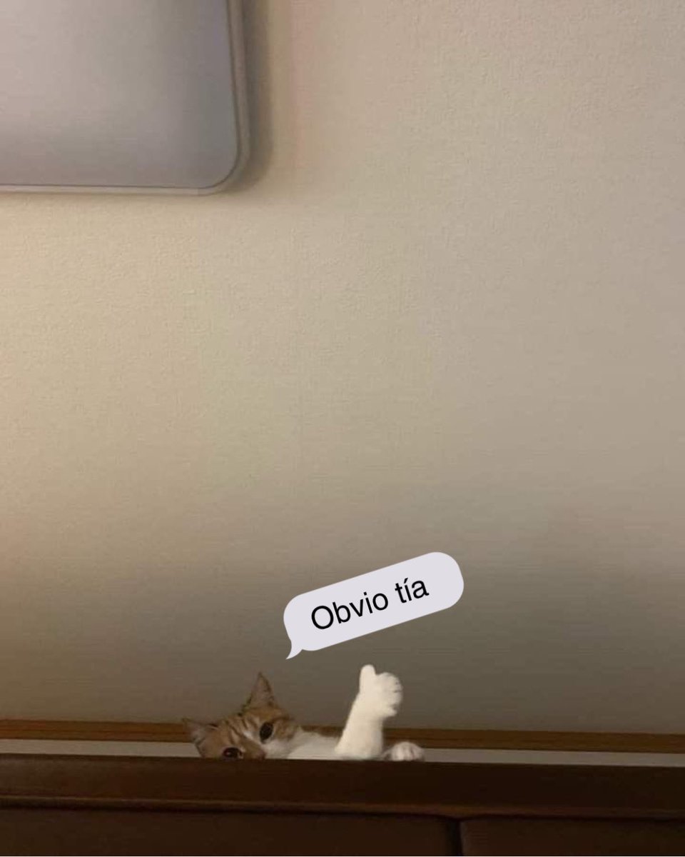 Después de estar todo el día currando y me preguntan si quiero pizza