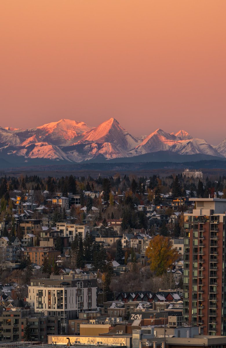 matt daniels tweet media