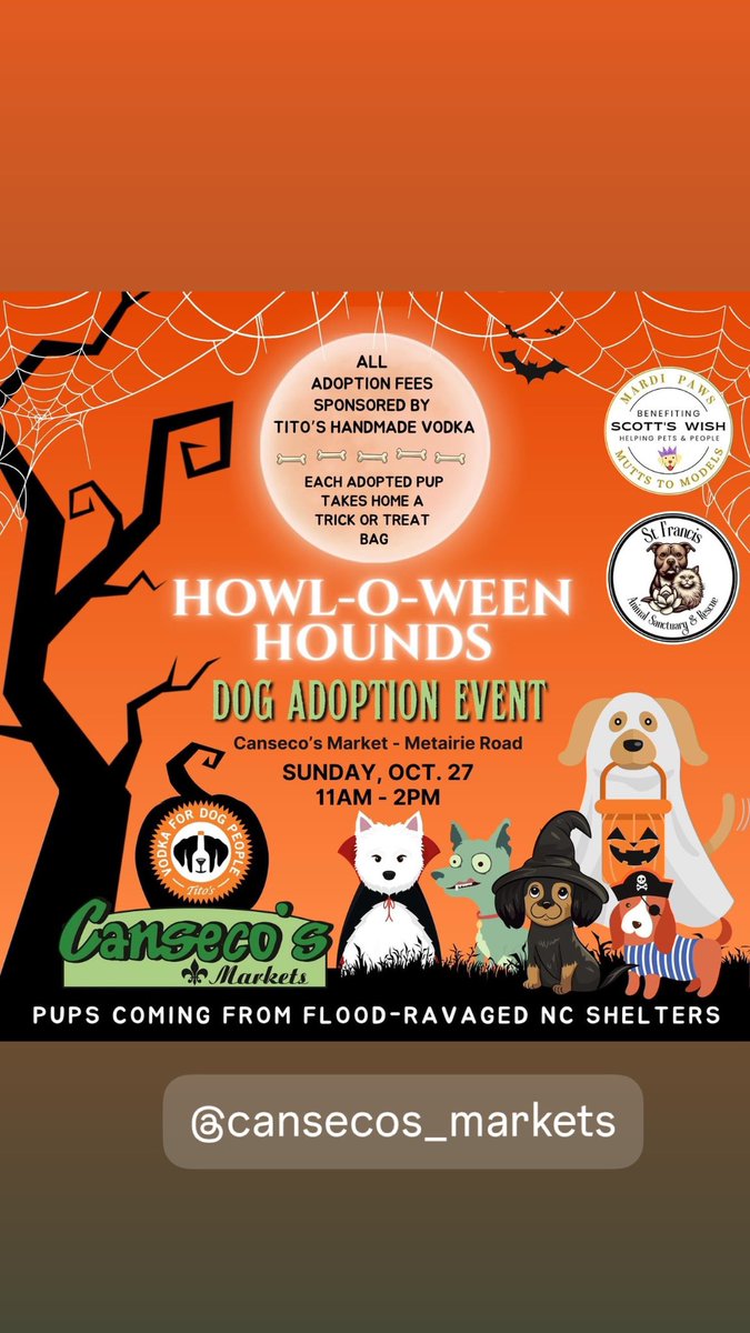 📣Happening THIS Sunday (10/27) from 11A-2P at Canseco's Markets Metairie Road - Tito's Handmade Vodka is sponsoring ALL adoption fees! Plus, each adoptee goes home with a "Trick or Treat" bag of toys and treats! 🎃🐾🎃

#MardiPaws #ScottsWish #SFAS #vodkafordogpeople