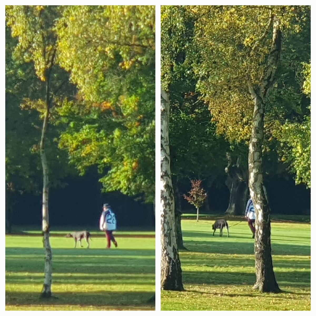 mandy_poxon's tweet photo. "One Man &amp; his Dog" our Chairman of Greens walking his dog whilst checking on his latest projects ........  @LittleAstonGolf #golfcourse #Dog https://t.co/cil3OrVQ9N
