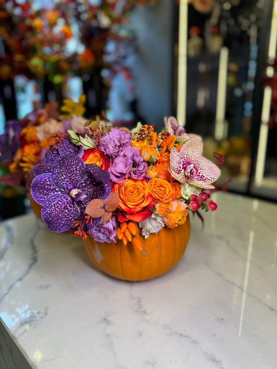 Pumpkins epitomise the essence of autumn and the spirit of the harvest season, symbolising abundance and prosperity. At Neill Strain Floral Couture, we honour this tradition each year by creating our Petite Couture arrangements within real pumpkins.

#NeillStrainFloralCouture