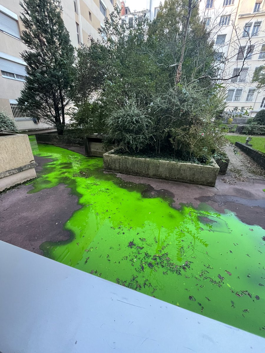 sacha 🦞 🇵🇸 - Sade fan account tweet media