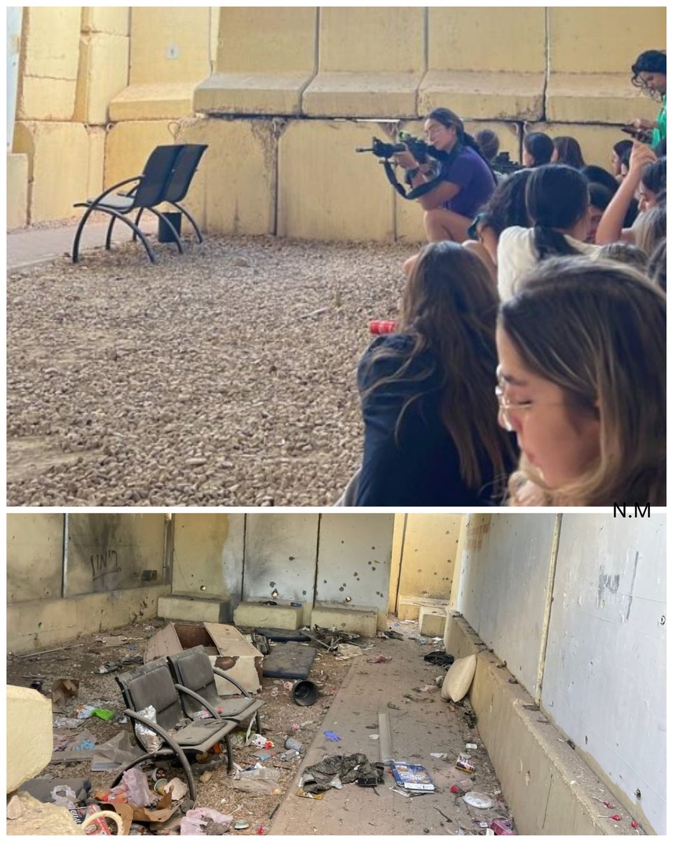 נועה מגיד | Noa magid tweet media