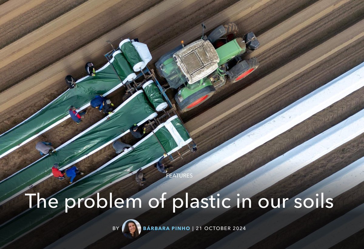 Cynthia Fan tweet media