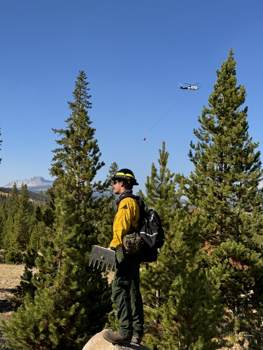 BridgerTetonNF's tweet photo. #PackTrailFire is 89,639 acres and 66% confined. Due to gusty winds, snags caused by pine bark beetle and further weakened by the fire may pose a threat to firefighter safety. Suppression repair occurs on north and east side. West and southside crews work to secure fire's edge. https://t.co/lUfZK7QCJl
