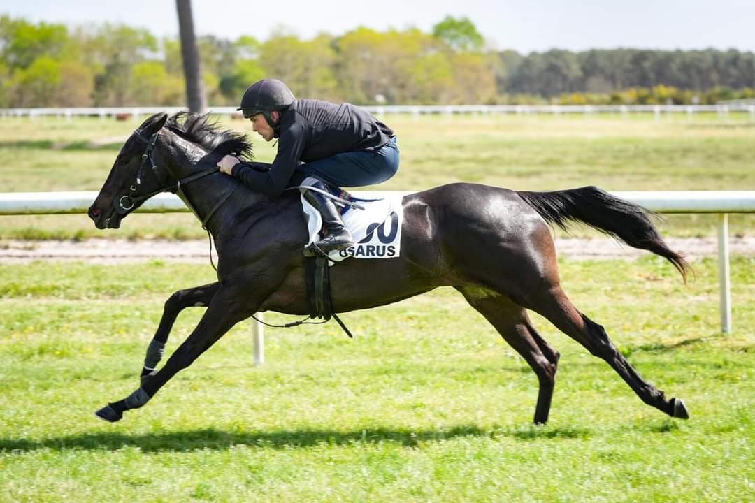 🥇 𝐌𝐈𝐒𝐒 𝐋𝐀𝐂𝐎𝐔𝐌𝐀

3rd win for 2yo MISS LACOUMA #Calyx <a href="/coolmorestud/">Coolmore</a> today in the Prix du Château de Crevecoeur @ Deauville for P.Cottier M.Barzalona &amp; <a href="/GousserieRacing/">Gousserie Racing</a>

She was purchased @ the La Teste Breeze-up sale by Camdeborde &amp; Capucines Bldst from <a href="/piercegallagher/">Pierce gallagher</a>