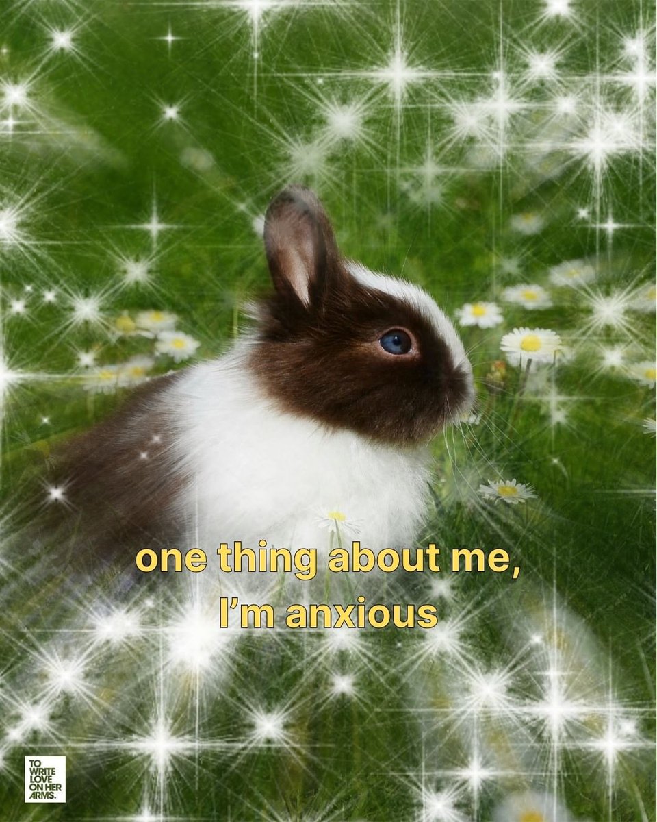 Bunnies's tweet photo. https://t.co/S6Zul9FsC8