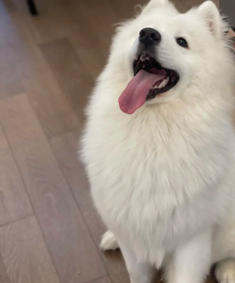 💦little dragonfly💦 (@courtneyjo65) on Twitter photo 