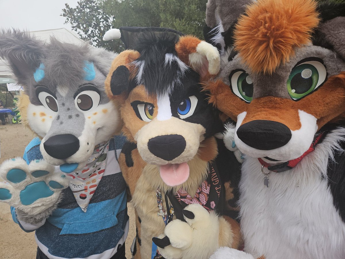 Funne sheps from the land down under
In order: <a href="/MokieMutt/">湊 Mokie Mutt</a> <a href="/KodaTheAussie/">Koda🐾🎾</a> <a href="/SmokeyAussie/">SmokeyAussie Dog 🐾 MFF FC NFC</a>