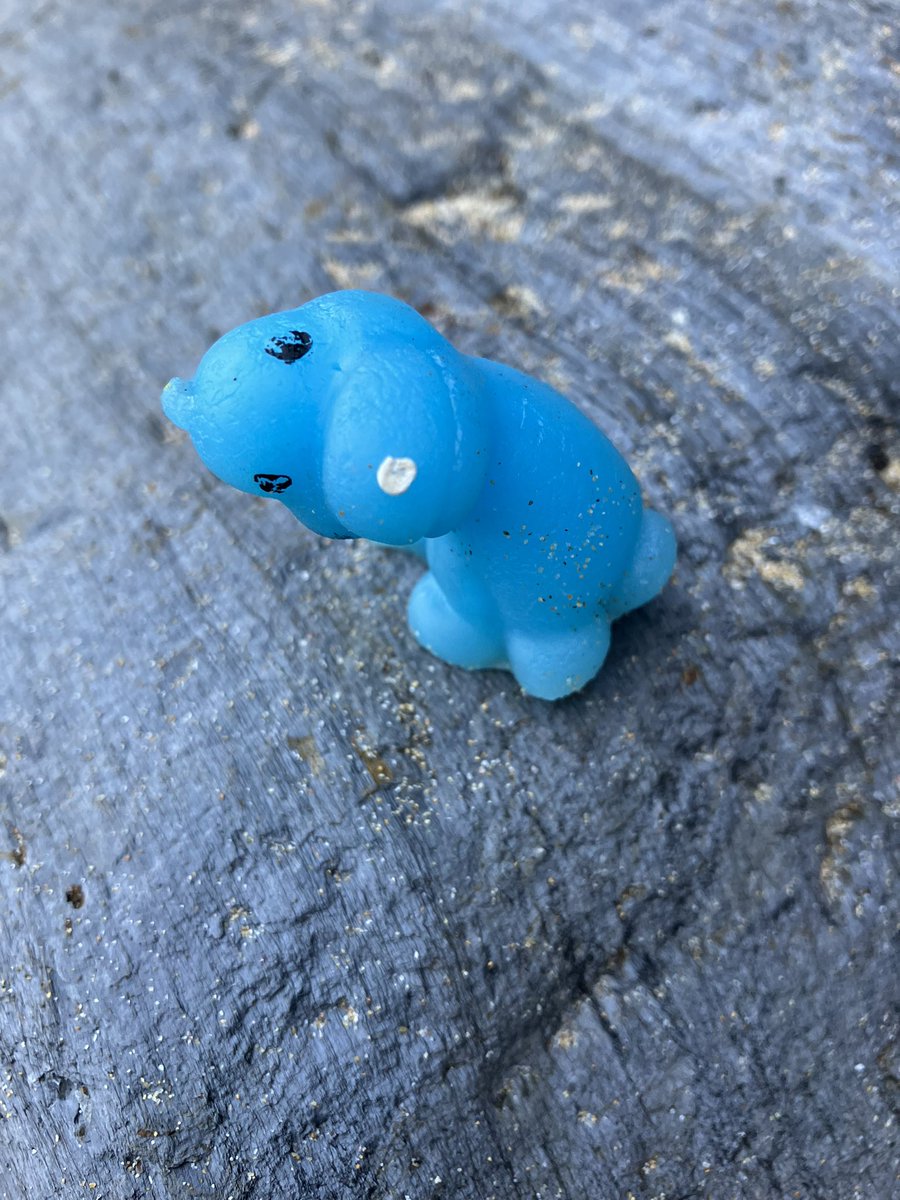 fulltimedogmum's tweet image. Cornwall beaches 
#strangestfinds