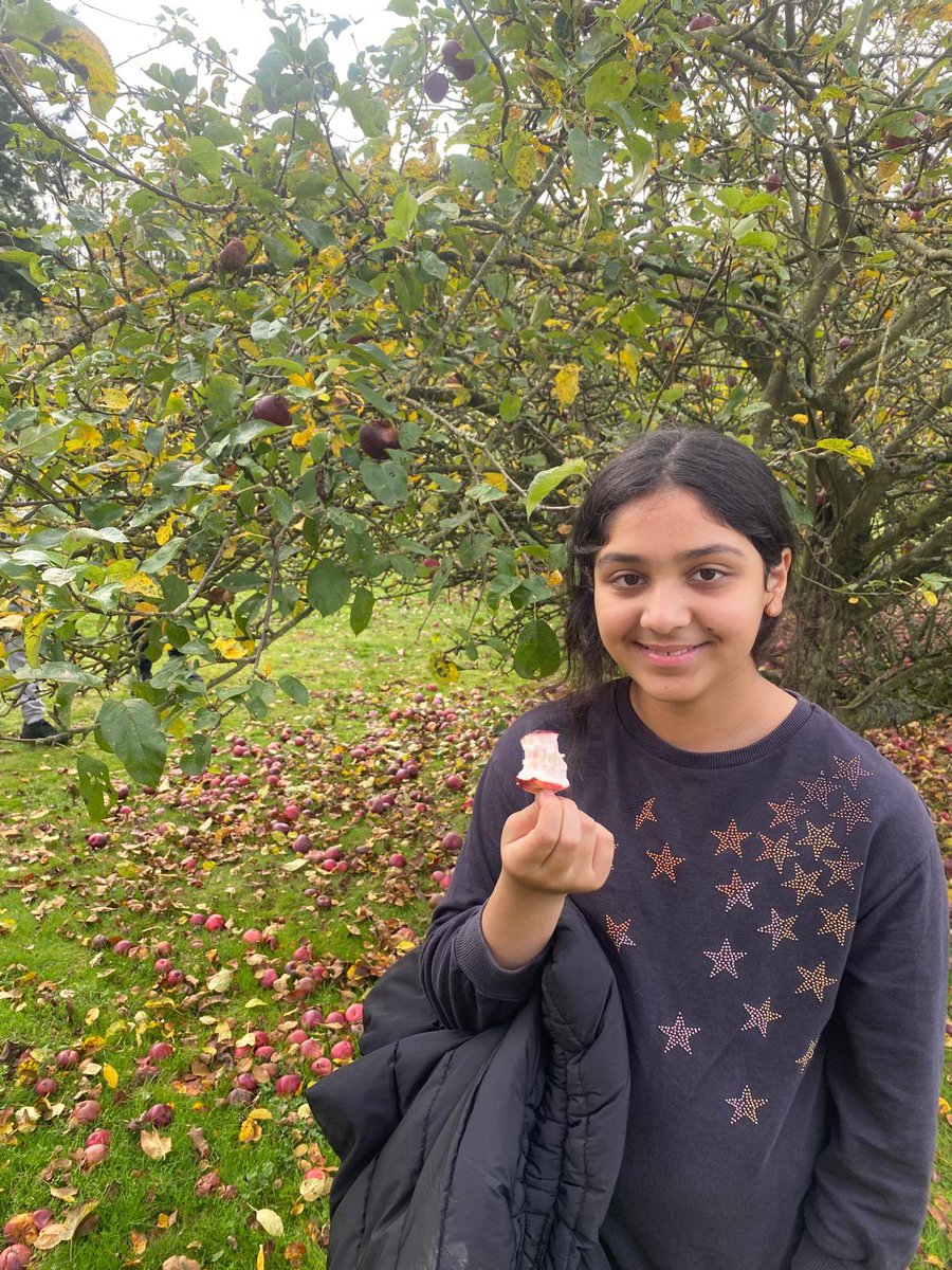Freshly picked apples 🍎 😋 from FairPlay House