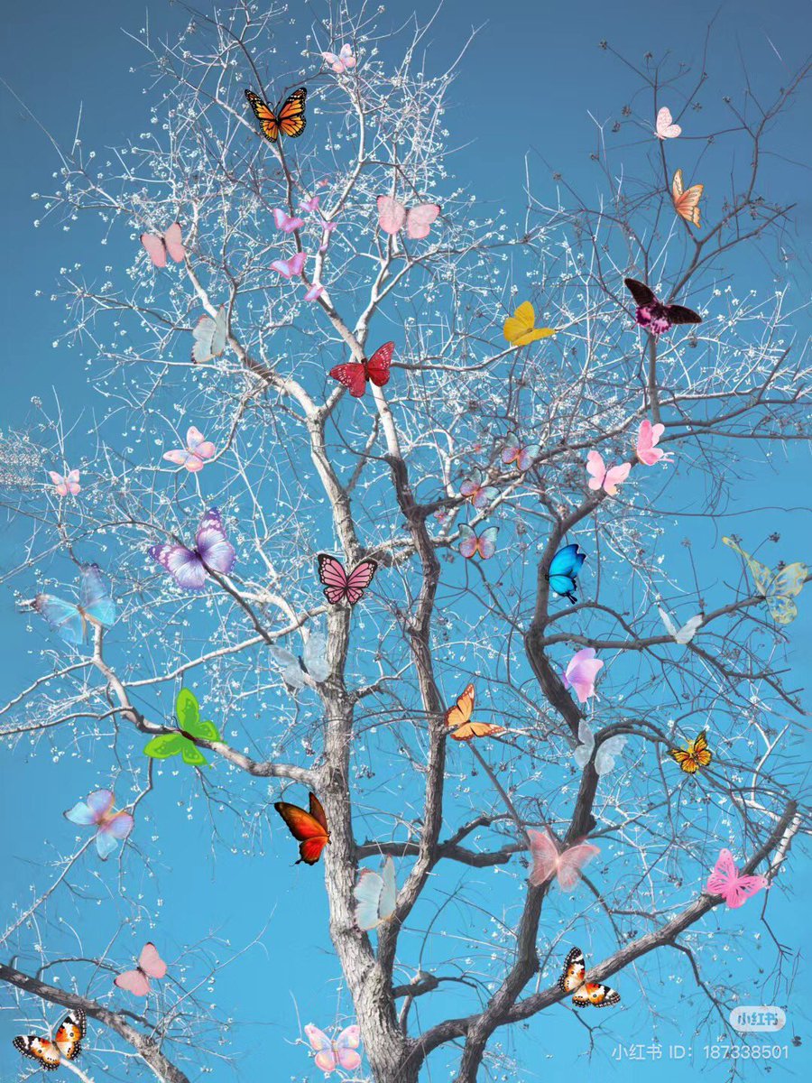 butterflies