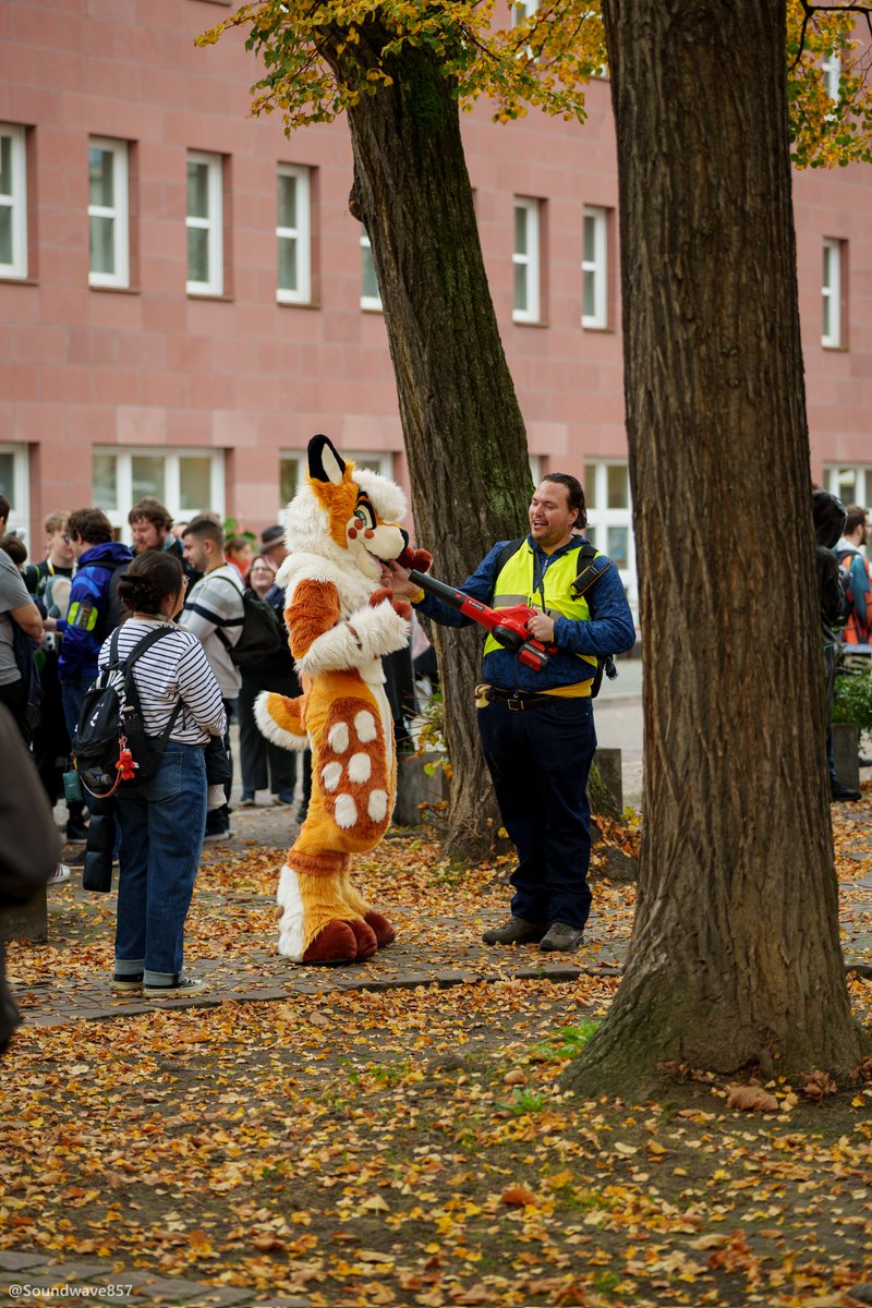 Taking care of fluffy animals always brings me joy

📍Suitwalk Karlsruhe 19.10.24
🦌 <a href="/ShikaBleat/">Shika</a>
📸 <a href="/Soundwave857/">Soundwave 📸</a>