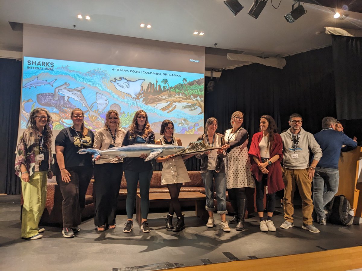 #EEA2024 update: After fabulous presentations from <a href="/lottesdahlmo/">Lotte Dahlmo</a> and Maite Erauskin from <a href="/azti_brta/">AZTI</a>, amongst others, we're on our way to the gala dinner with its famous auction of shark-related items!