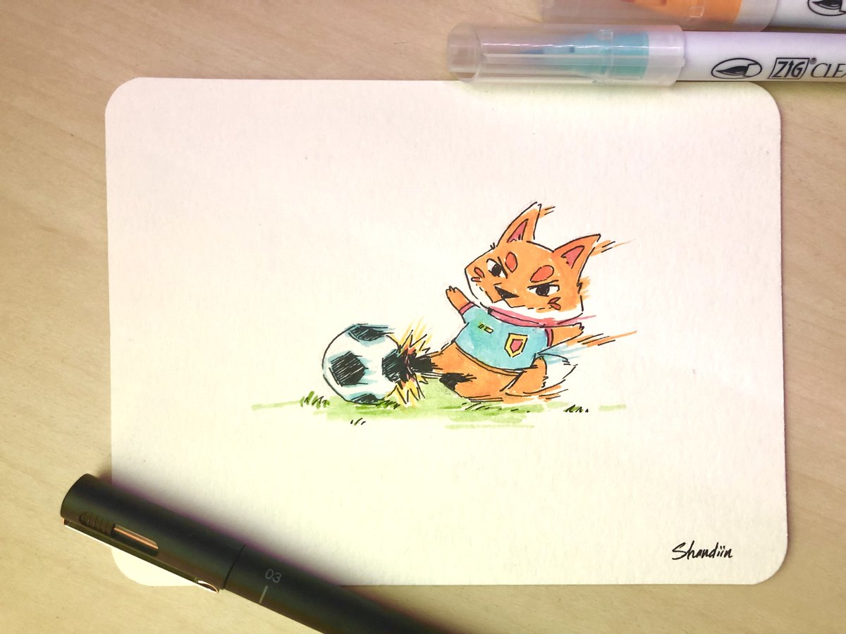 ⚽️🦊💨