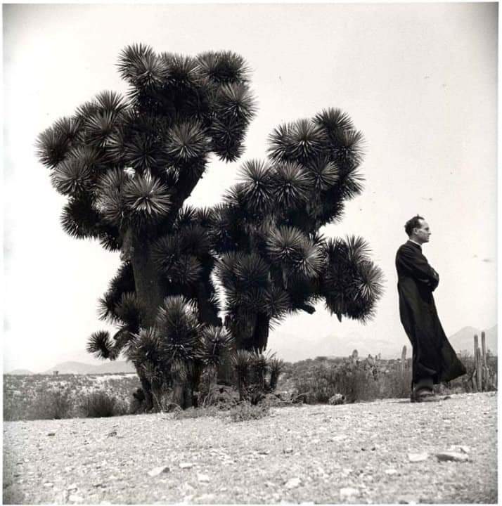 Roces Silentes Labora tweet media