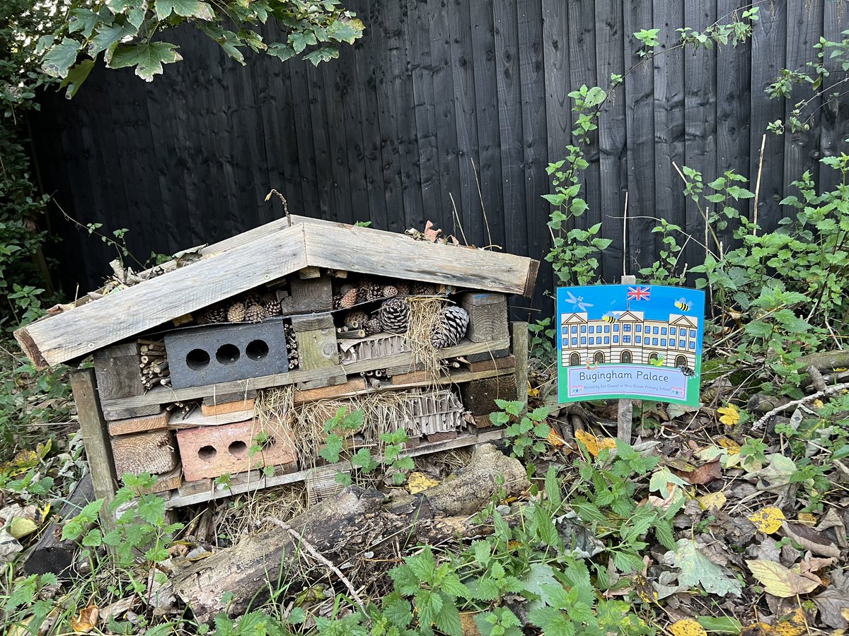 Following a school Eco Council poll we’re proud to announce that <a href="/NewOscottPS/">New Oscott</a> have named our new bug hotel  “Bugingham palace” we think it’s very apt for such a regal dwelling for our Wylde Green bugs 🐞🐛🦟🪲🪳🐜🕷️