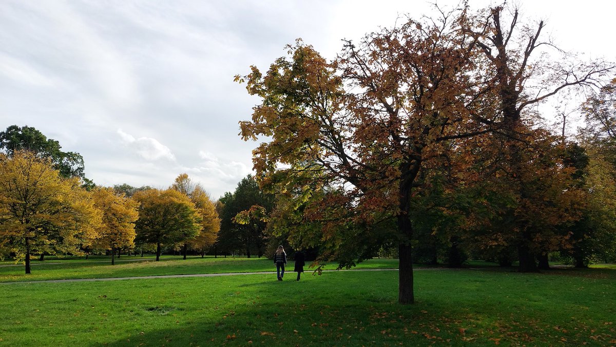 teachergreaves's tweet photo. Some lovely autumnal days in London this week 🍂 https://t.co/xz9PfuZBFL