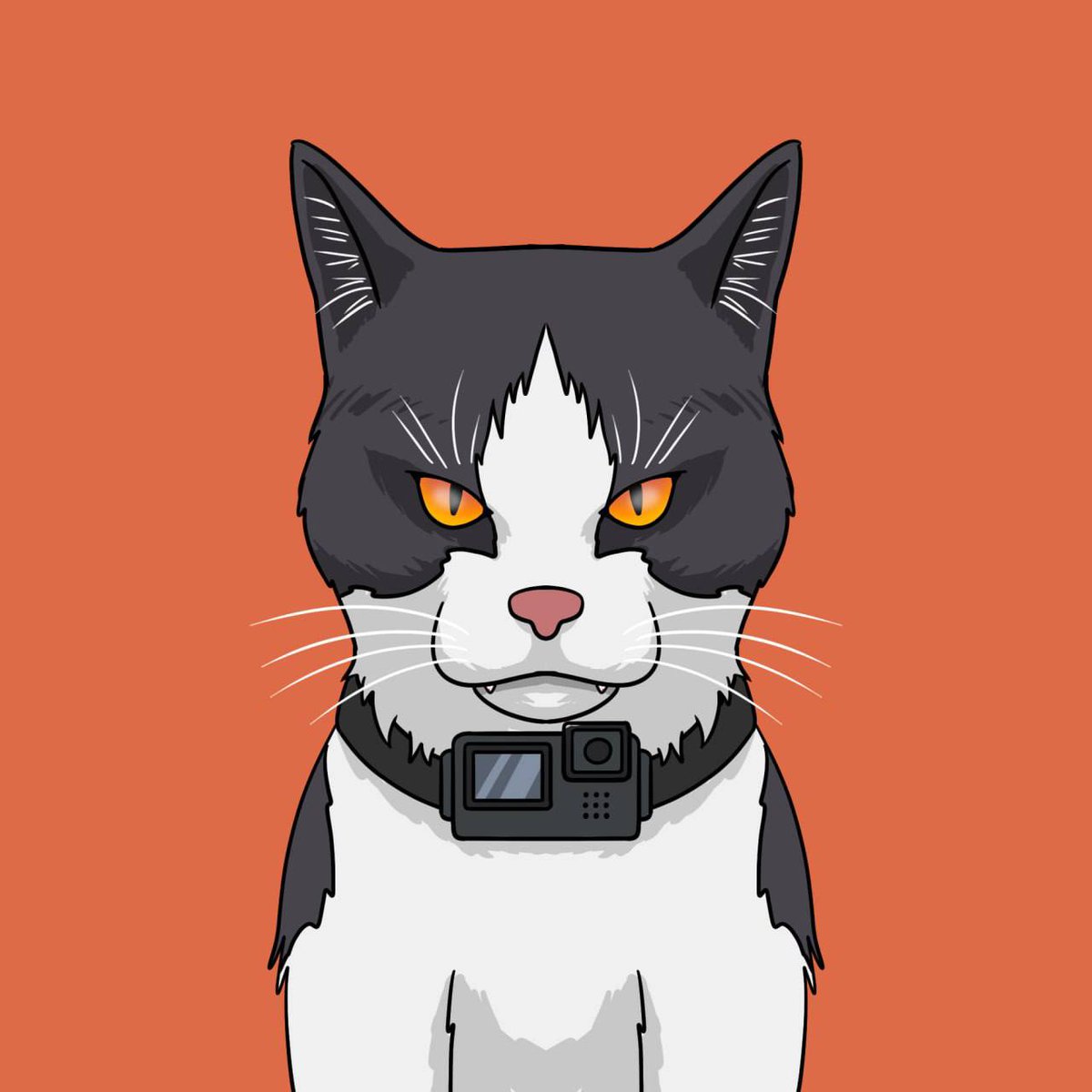 max2049max's tweet photo. 🚀 $Maxwell Token 🚀

Maxwell Cat is a TikTok Star with 2.2M Followers. 🐈

The community wants to push this project forward because we love MAX VIDEOS! ⭐️

CA:
H84qihes12nVQarr8rzmw87hDXUbHtFKRm5joBcbpump

TIKTOK:
https://t.co/ylFIR2FJcZ

- 🔥 TikTok Popular (2.2M followers)
- 🚀 $1.9M market cap peak
- 🔒 5% supply locked for 1 year

Ready for round 2? Let's go! 💪 #MAXWELL #Crypto

DEX:
https://t.co/APJxCXuZss
X:
https://t.co/Mx9YduKWmn