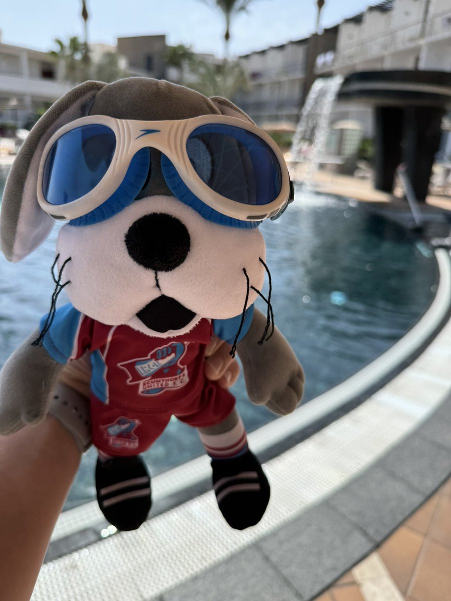 SmallDogg_'s tweet photo. Scunny bunny enjoying his day in Lanzarote, celebrating after the win last night! #UTI #TravelsWithScunnyBunny

@SUFCOfficial @THE_ScunnyBunny https://t.co/LtvymRNQOQ