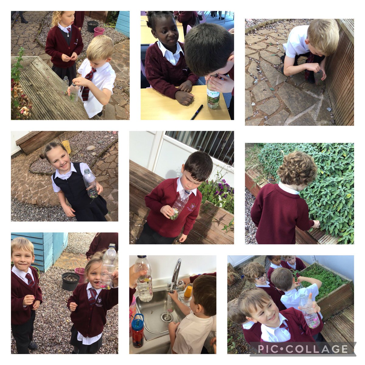 NormanPannellY1's tweet photo. This week in Science we made our own perfumes/aftershave- we collected different petals and leaves which gave our creations a lovely fresh scentππΈππ» #NPPSScience https://t.co/fLKJlVRvJY