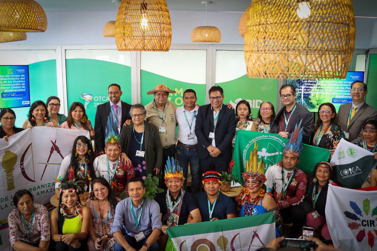 COICA ORG tweet media