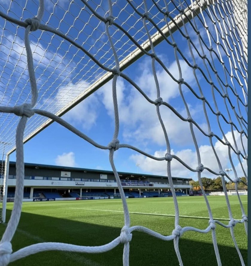 Steven Dipple tweet media