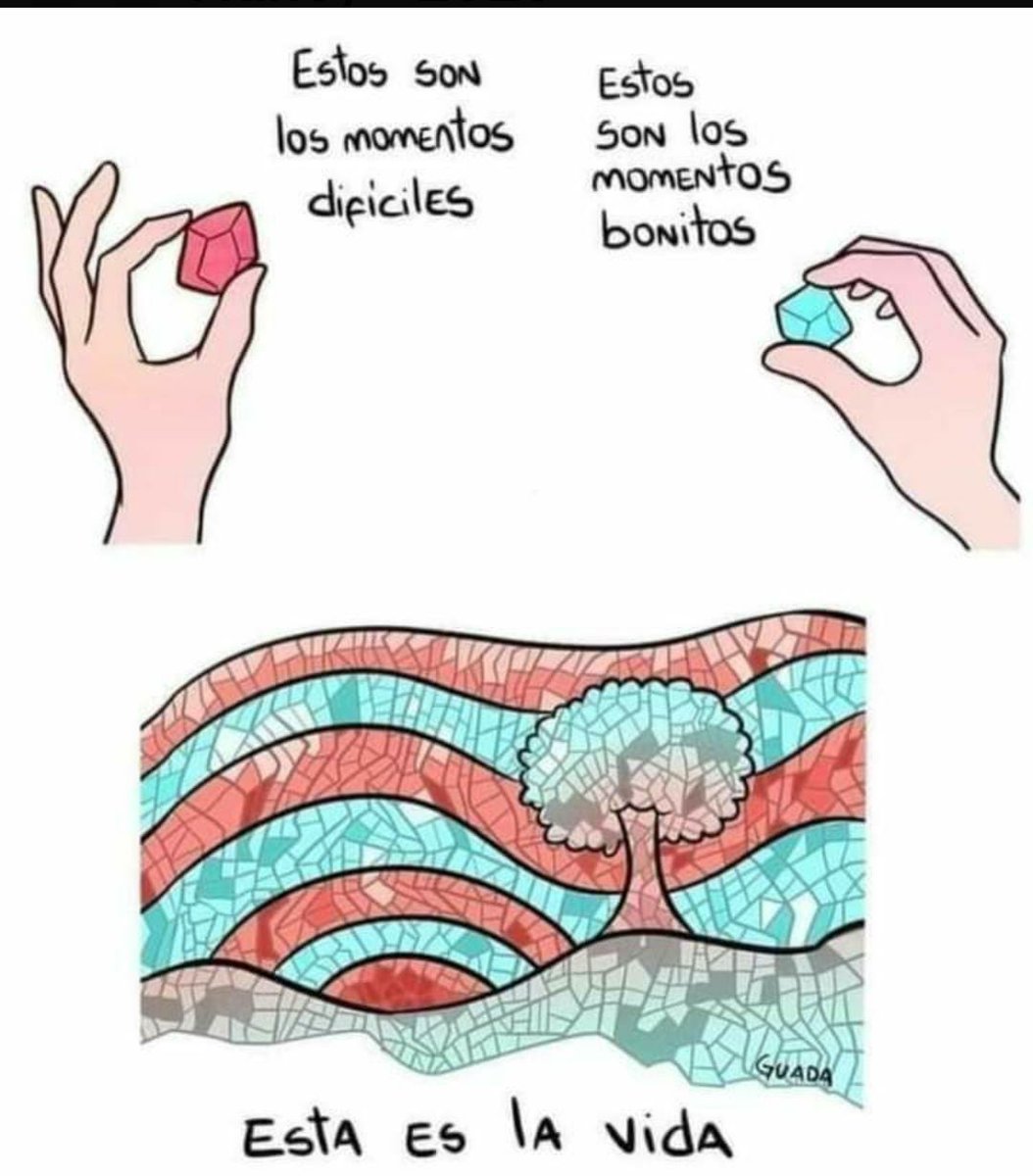 MairaRopero's tweet photo. La vida es la suma de momentos difíciles y bonitos. Experiencias que moldean tu forma de ver y ser. Aprende a estar aquí y ahora para vivirla plenamente.
#PsicoTips #Psicología #superacionpersonal #aquíyahora #vivirelpresente https://t.co/XHb8aALhmL