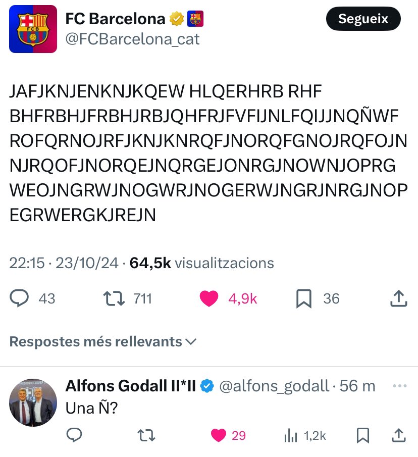 Ser català en una imatge