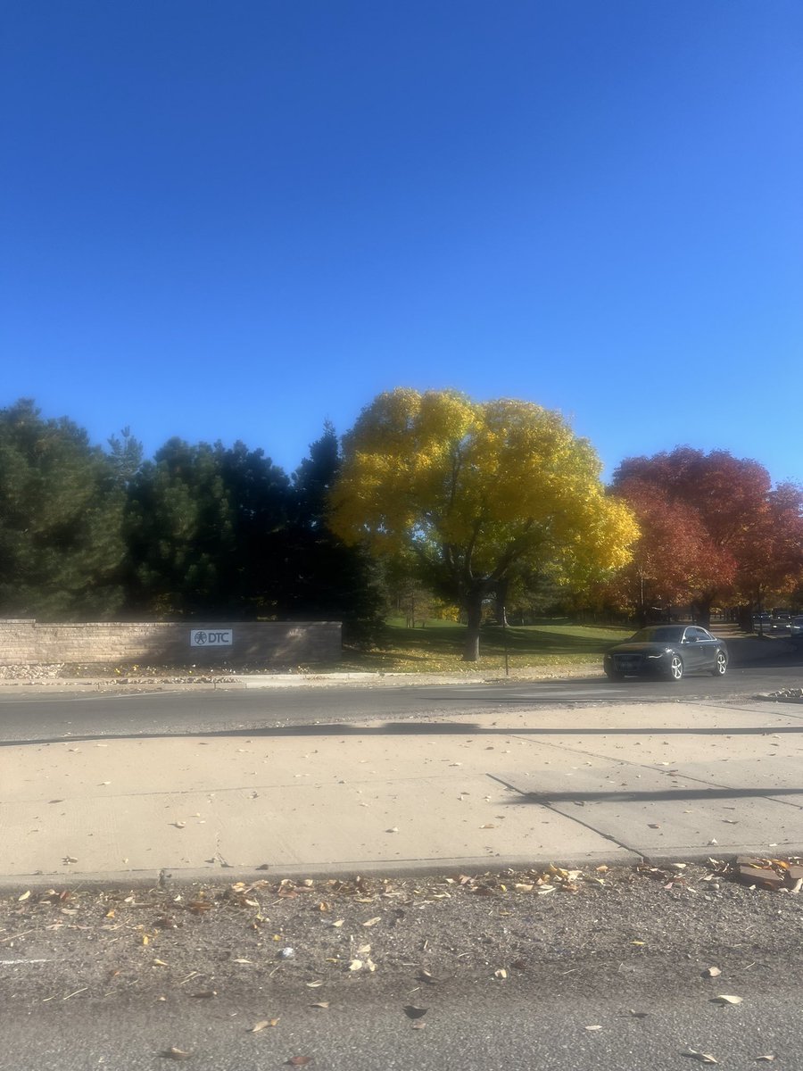 btrfli's tweet image. Yall…
It’s Fall❣️
#ColorfulColorado #beYOUtiful #YallMadeMeLate💀