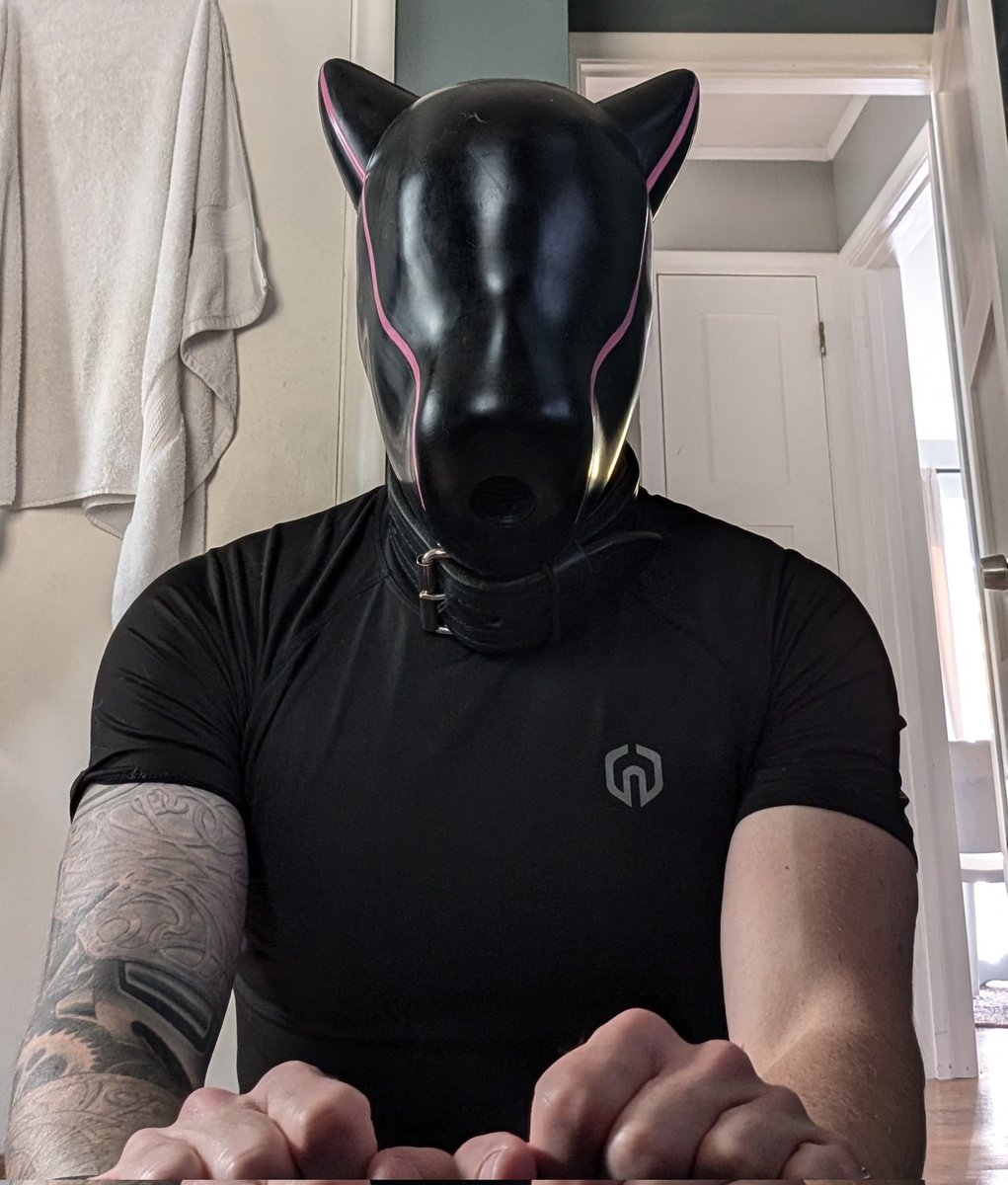 Locktober Day 25

No thoughts. Just a toy. Just a drone dog.