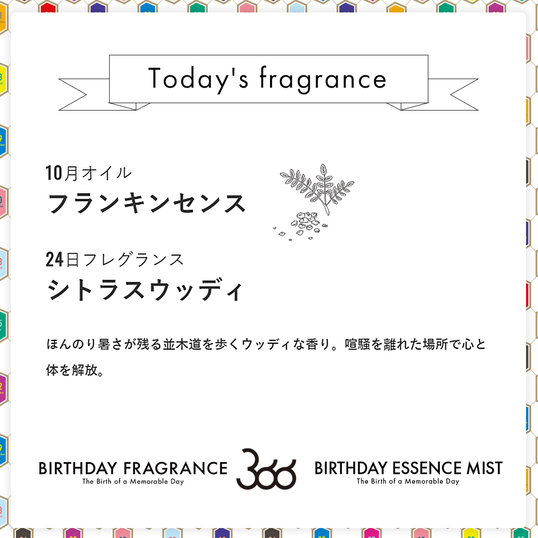 366バースデーフレグランス12月8日 ストア