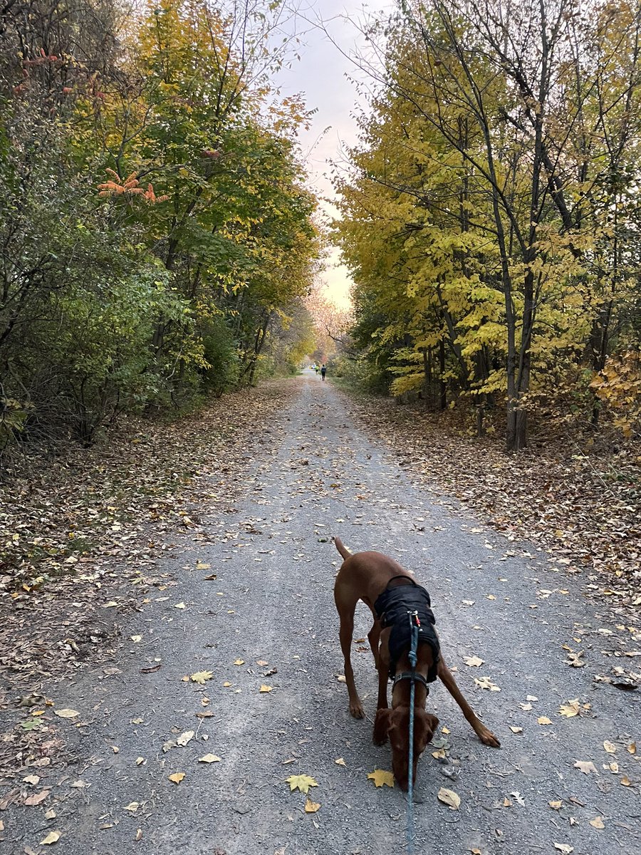 cdnnavylady's tweet image. Beauty night 🍂