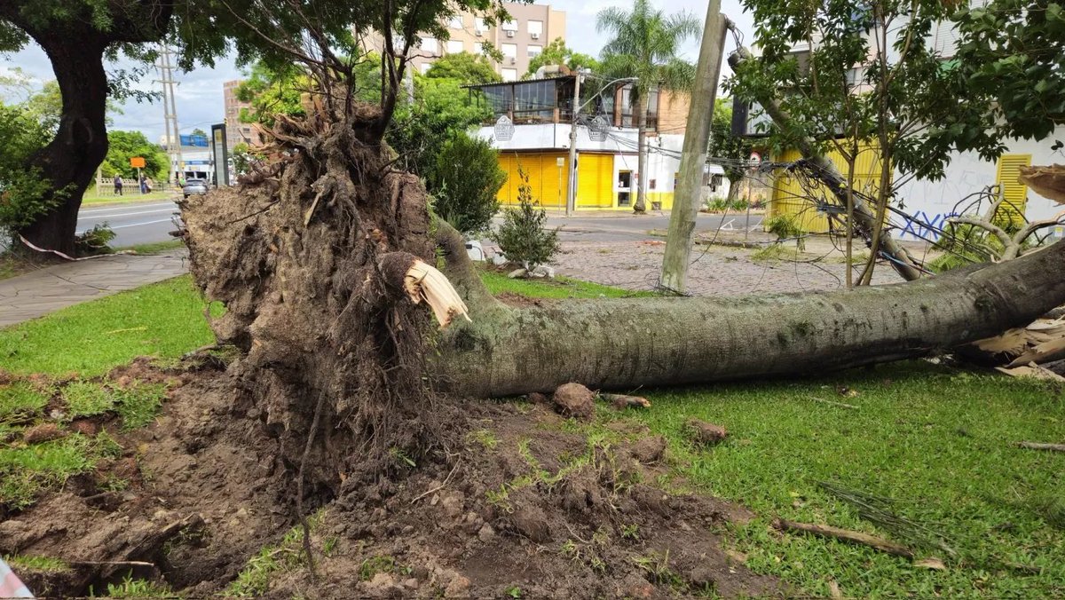 metsul's tweet photo. 🔴 ATENÇÃO - ALERTA | Onda de tempestades avança com vendavais e risco de danos e falta de luz. Temporais, fortes a severos, acompanharão formação de ciclone com pressão atipicamente baixa. Tempo severo pode atingir RS, SC, PR, MS e SP. 

‼️ Leia o alerta: https://t.co/jFWXQgc2sM https://t.co/WIiWRoUjYC