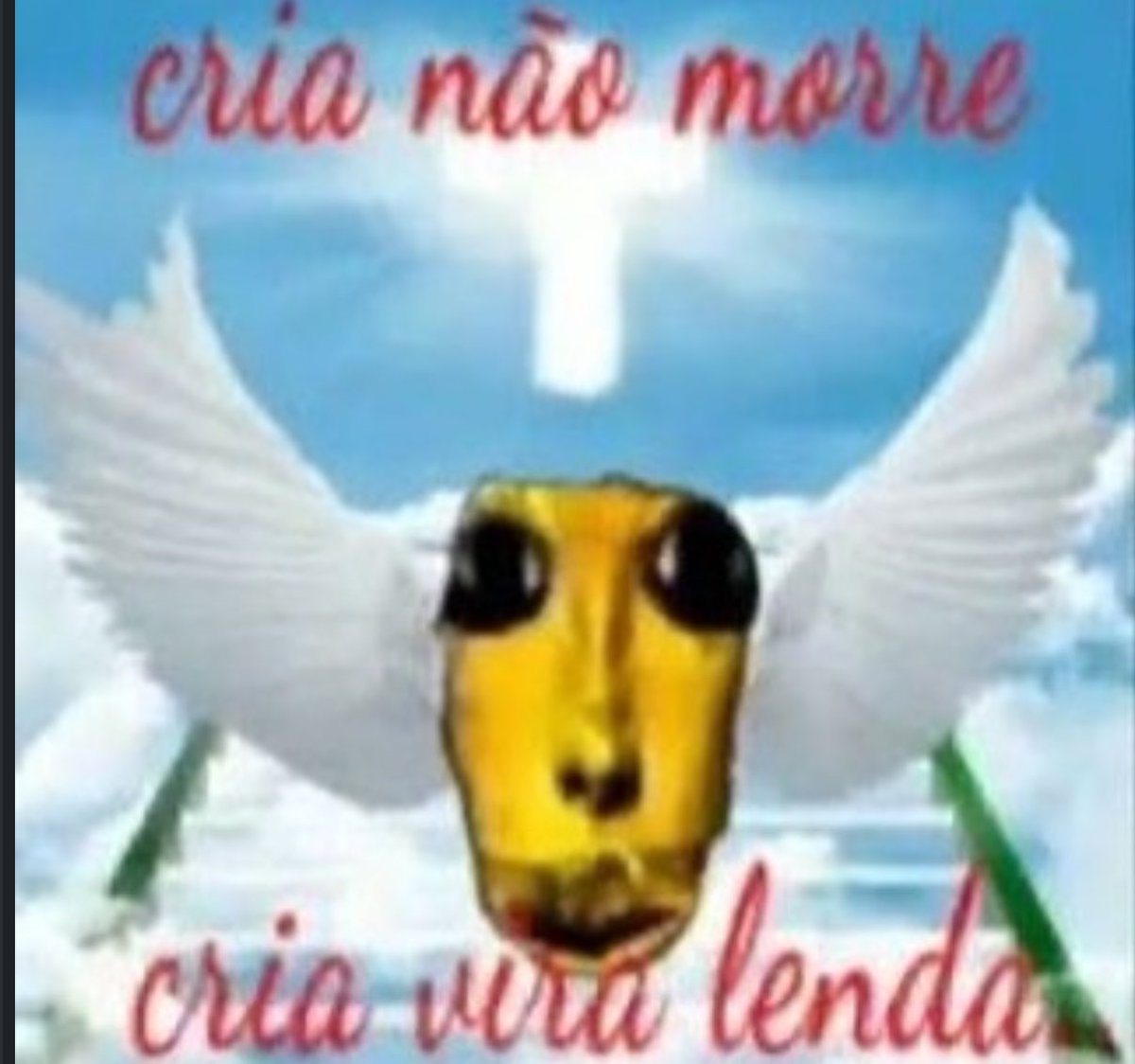 Shitpost só que de verdade (@shitpostverdade) on Twitter photo 